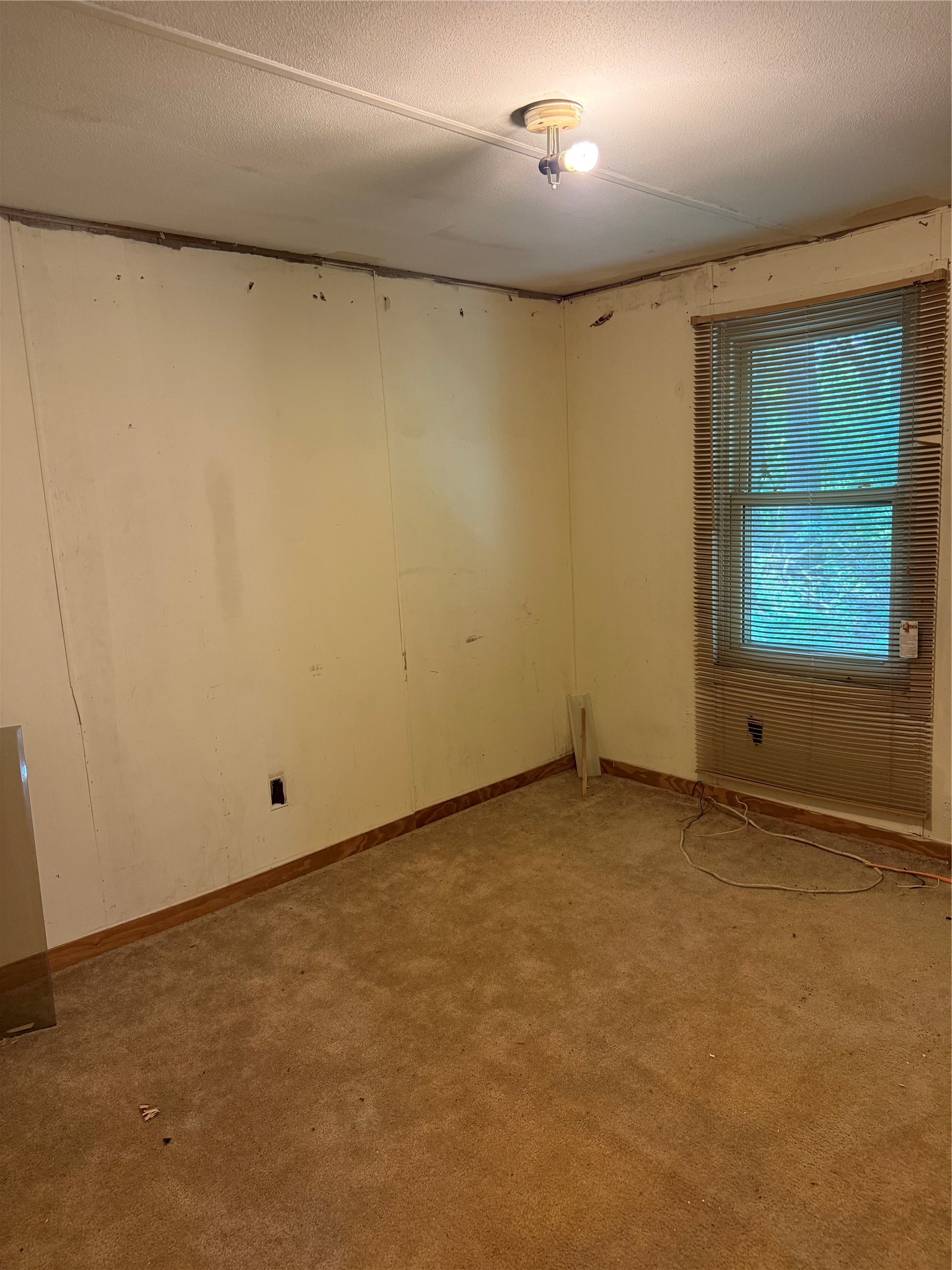 TBD Pr 1332, Elysian Fields, TX, 75642