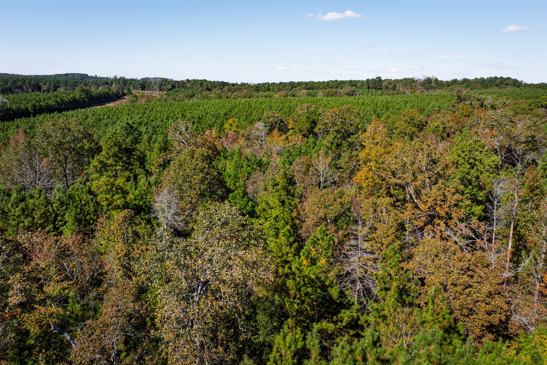 00 County Road 857, Nacogdoches, TX, 75964
