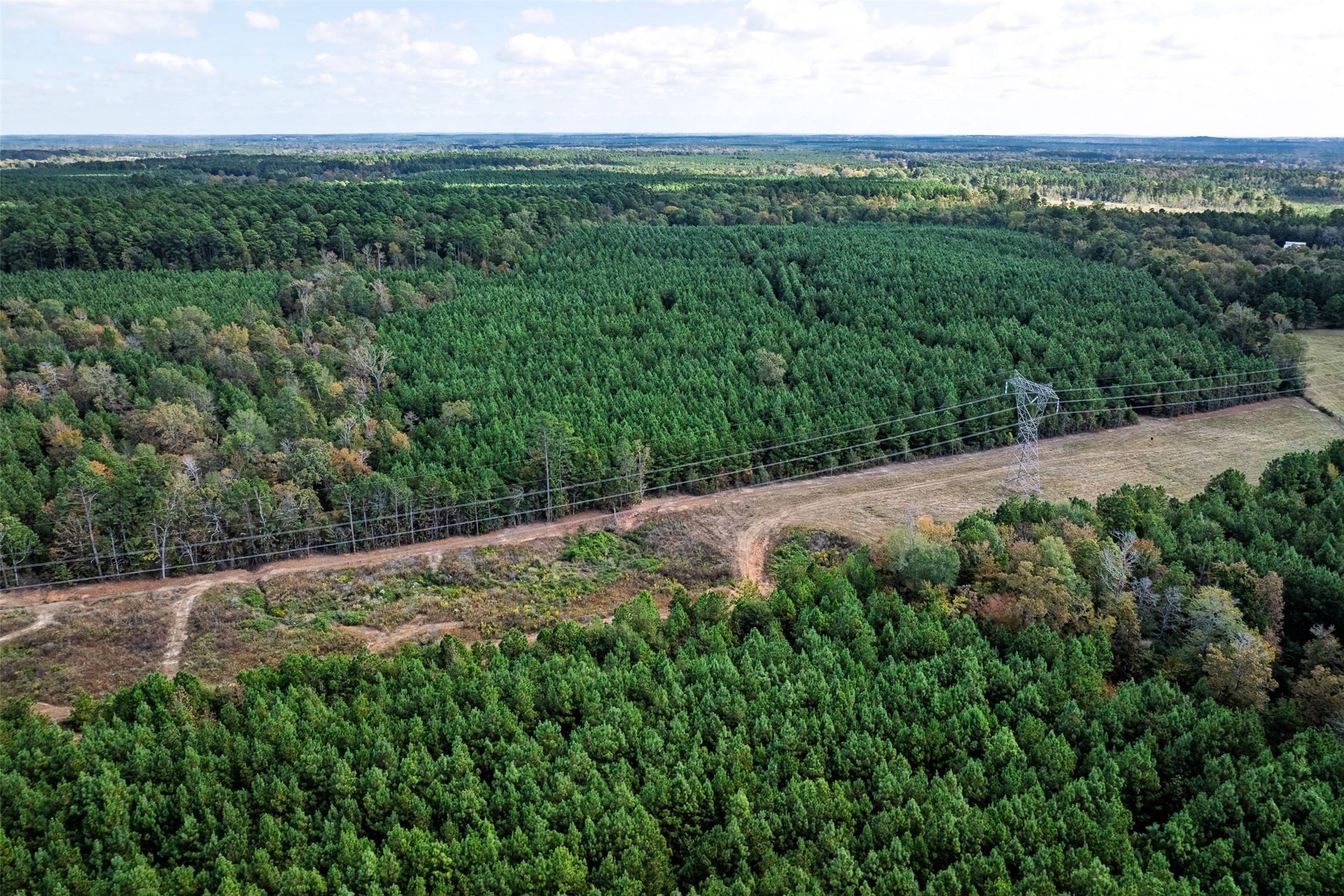 00 County Road 857, Nacogdoches, TX, 75964