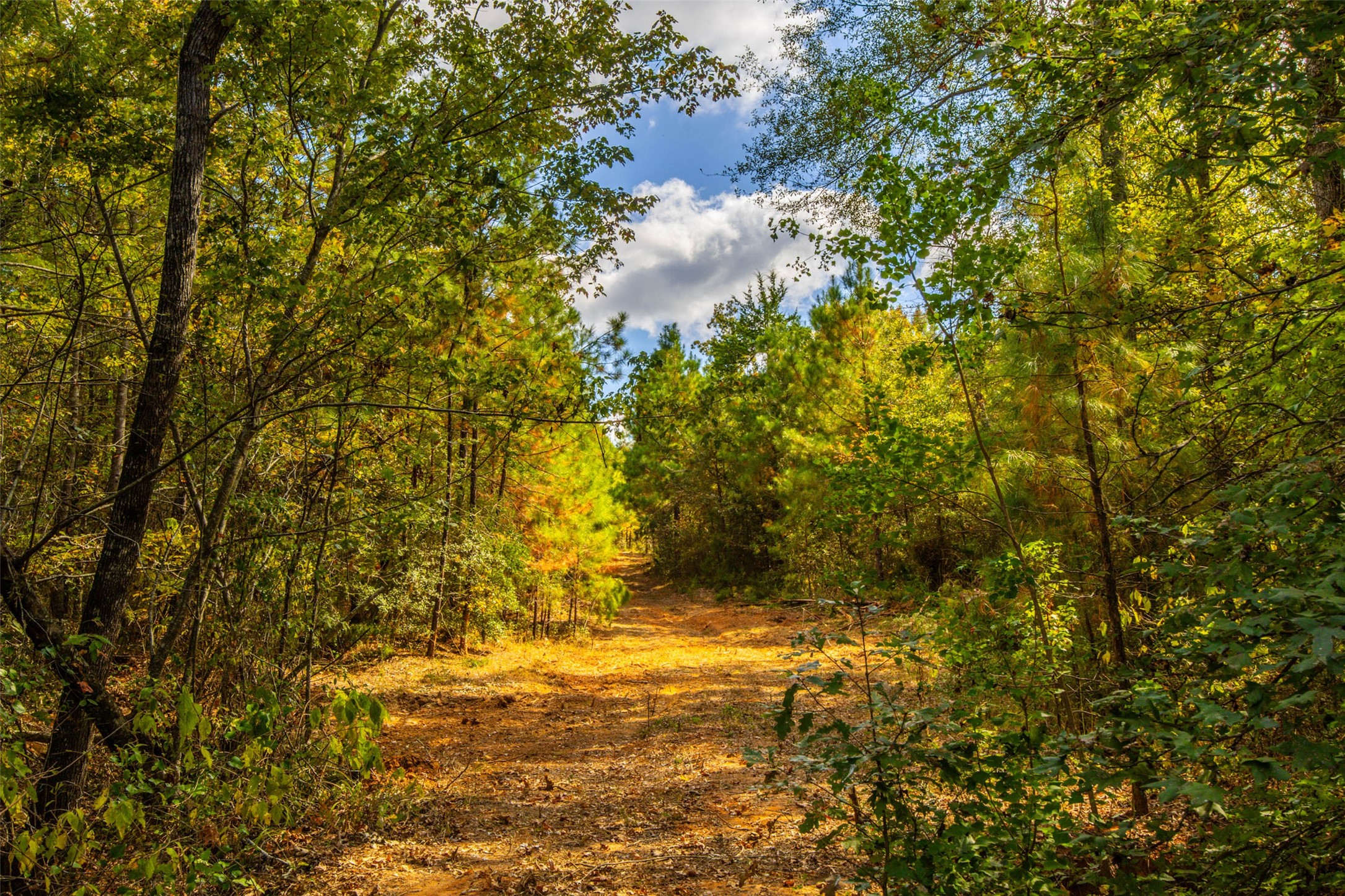 00 County Road 857, Nacogdoches, TX, 75964