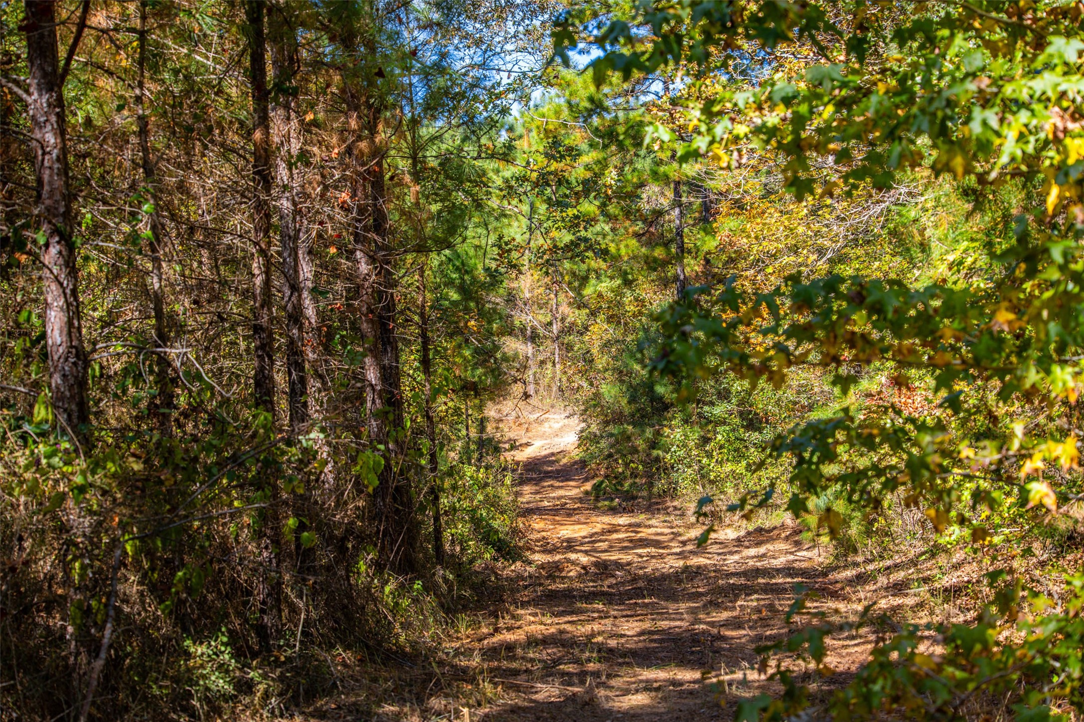 00 County Road 857, Nacogdoches, TX, 75964