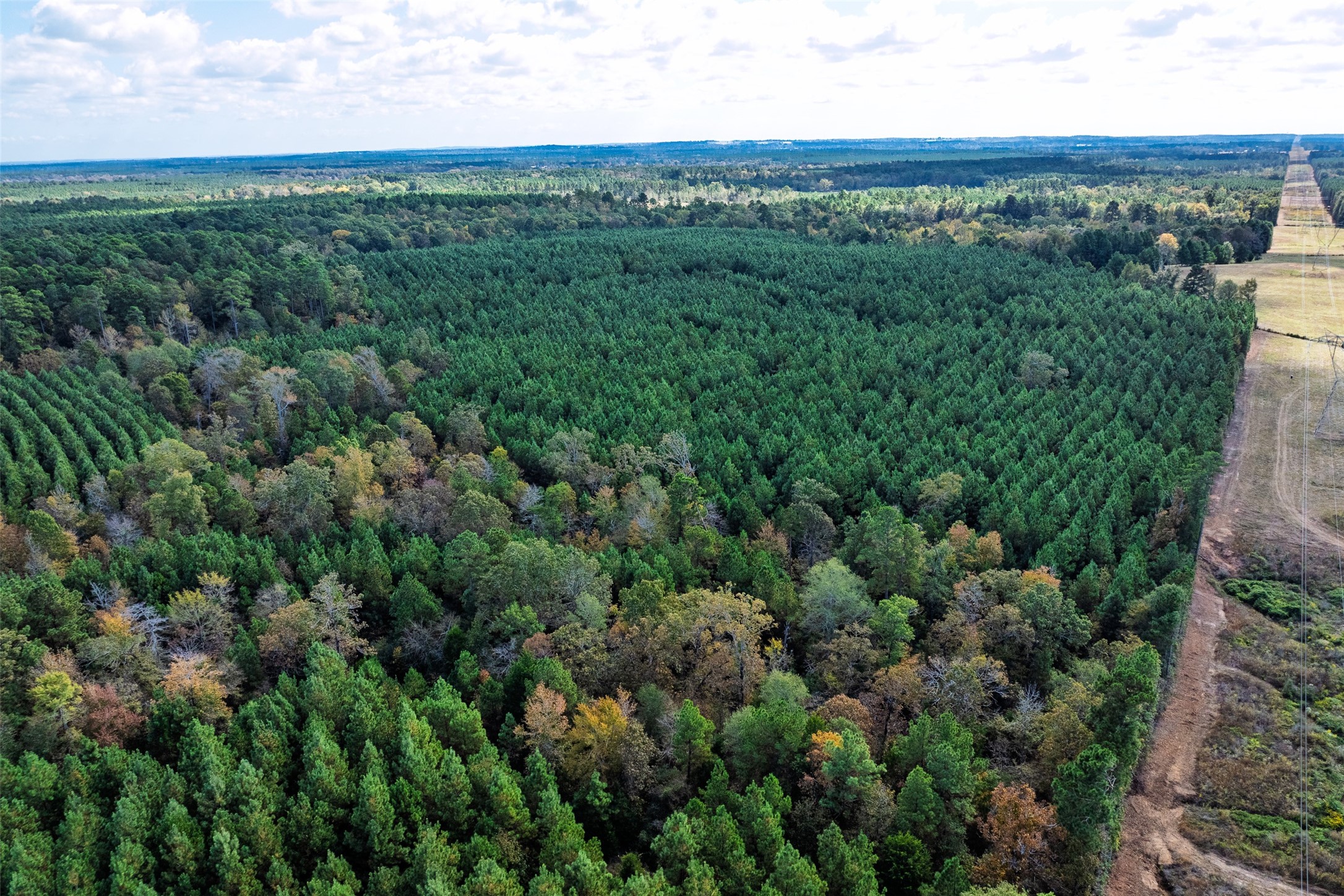 00 County Road 857, Nacogdoches, TX, 75964