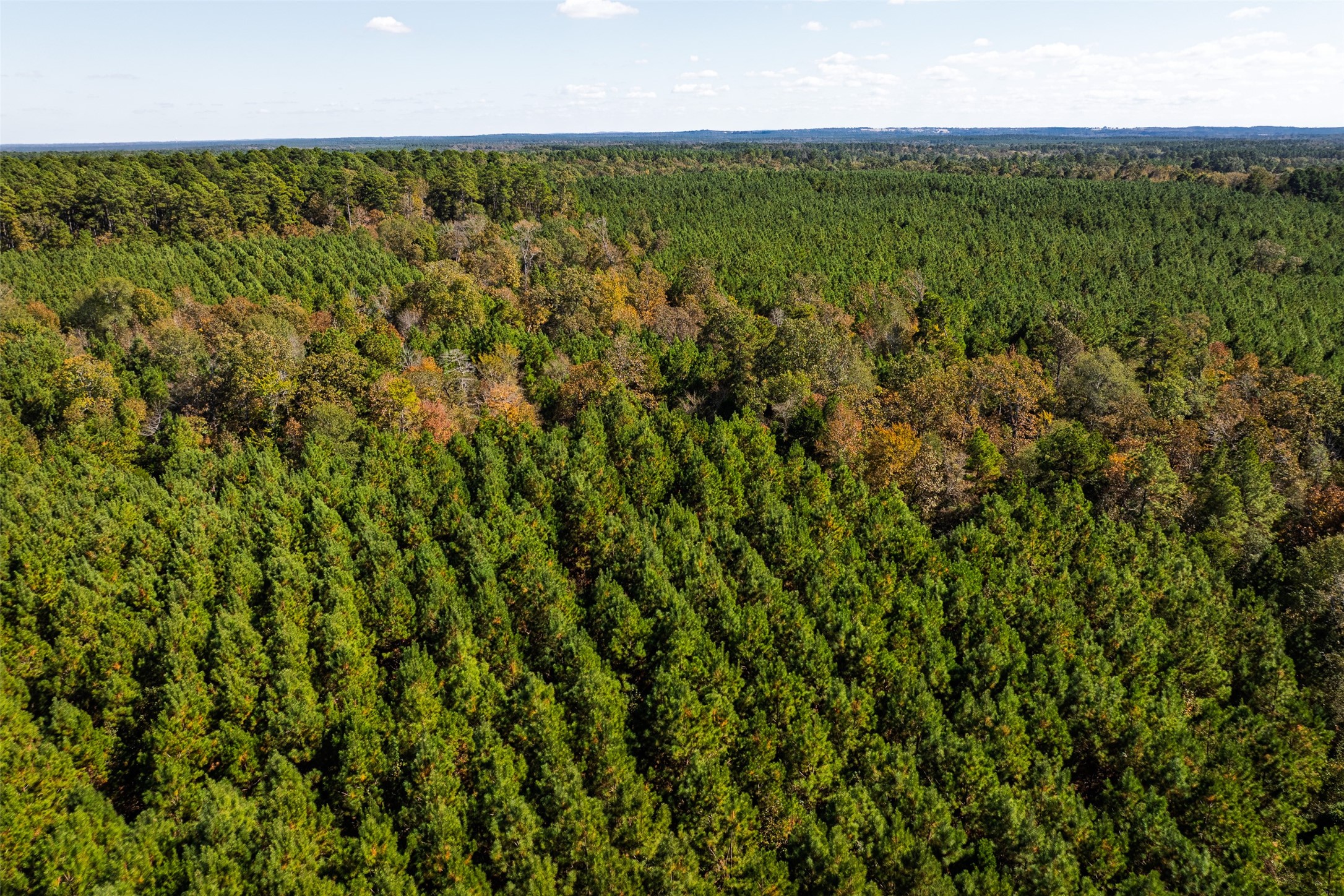 00 County Road 857, Nacogdoches, TX, 75964