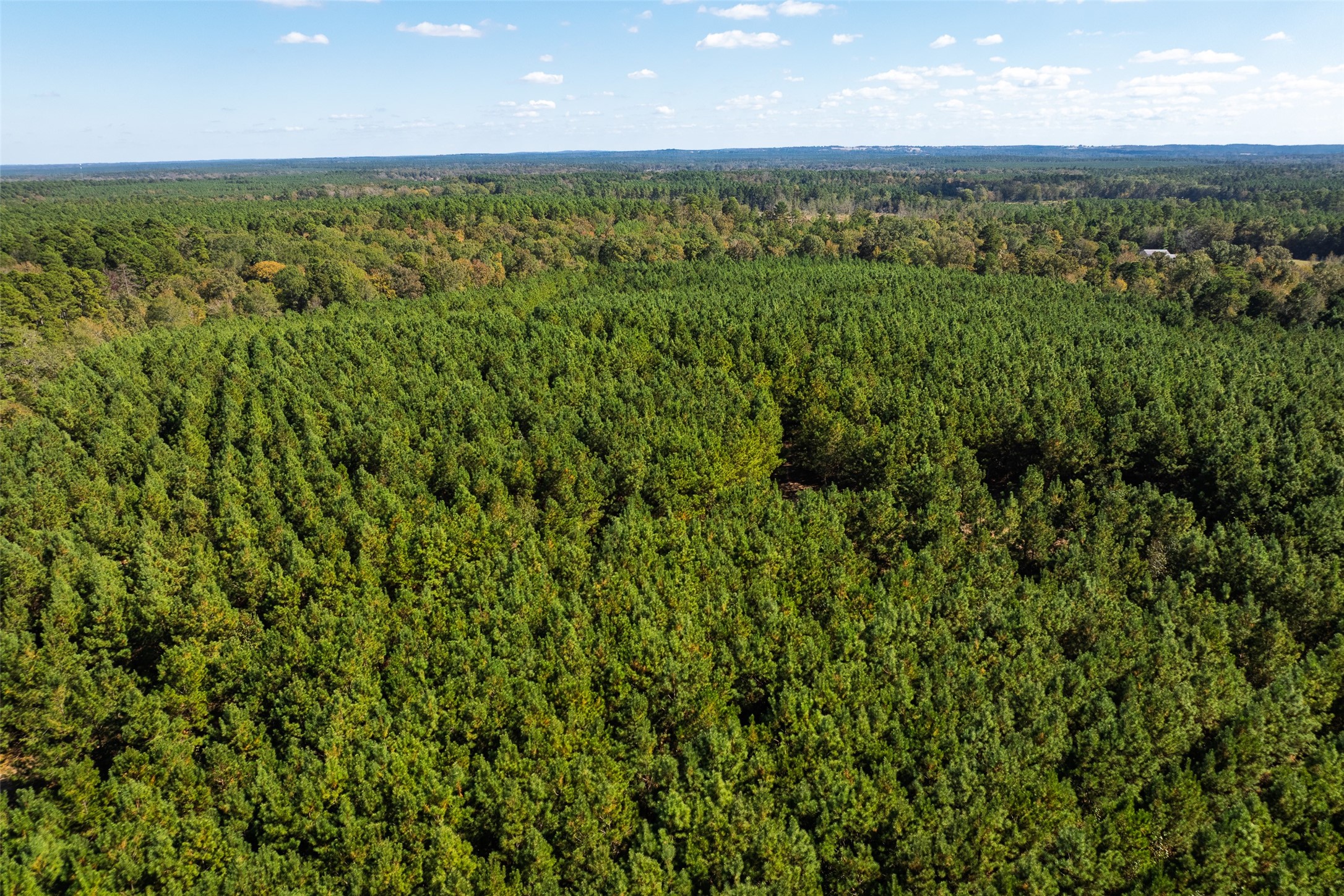 00 County Road 857, Nacogdoches, TX, 75964