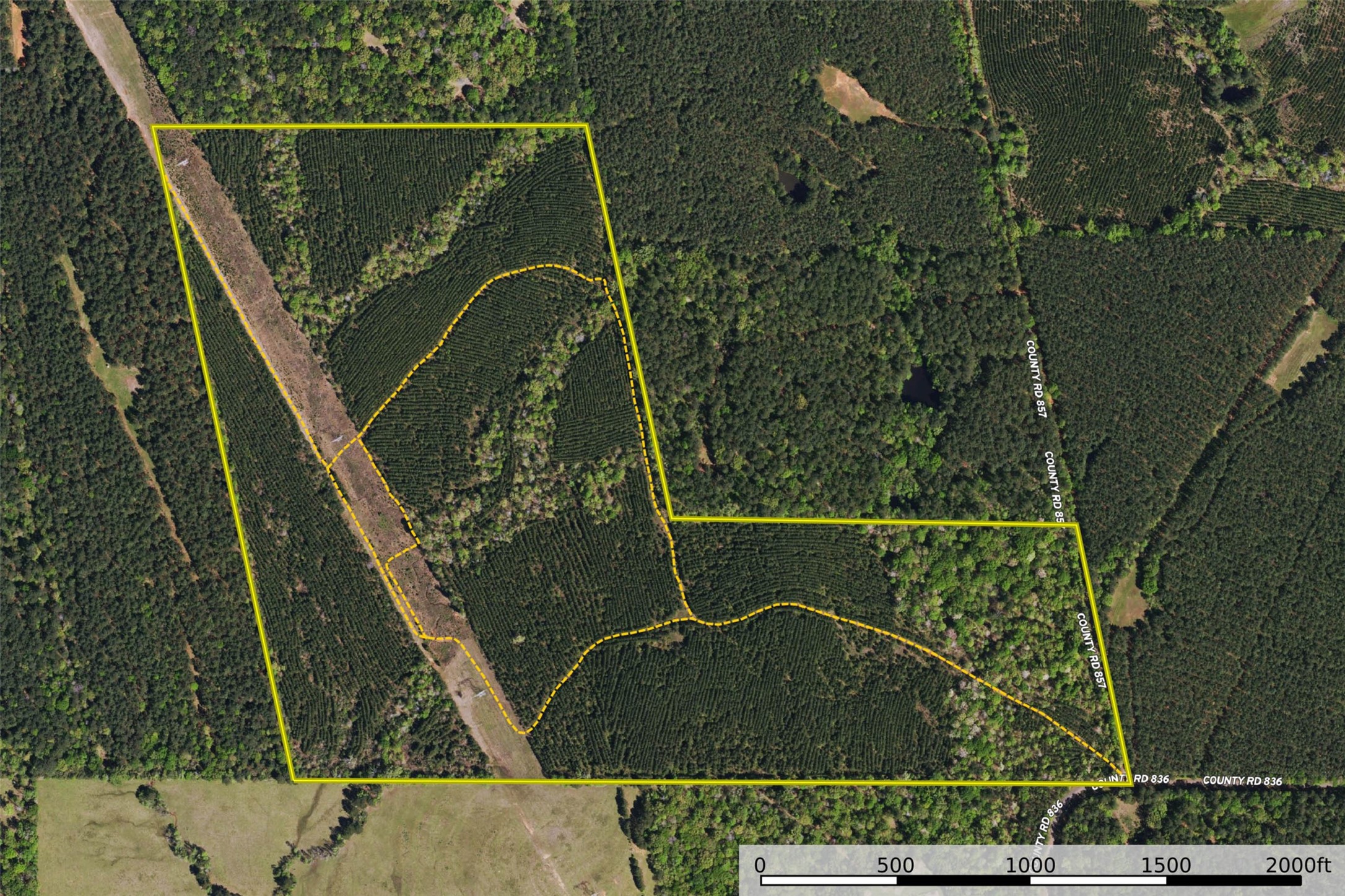 00 County Road 857, Nacogdoches, TX, 75964