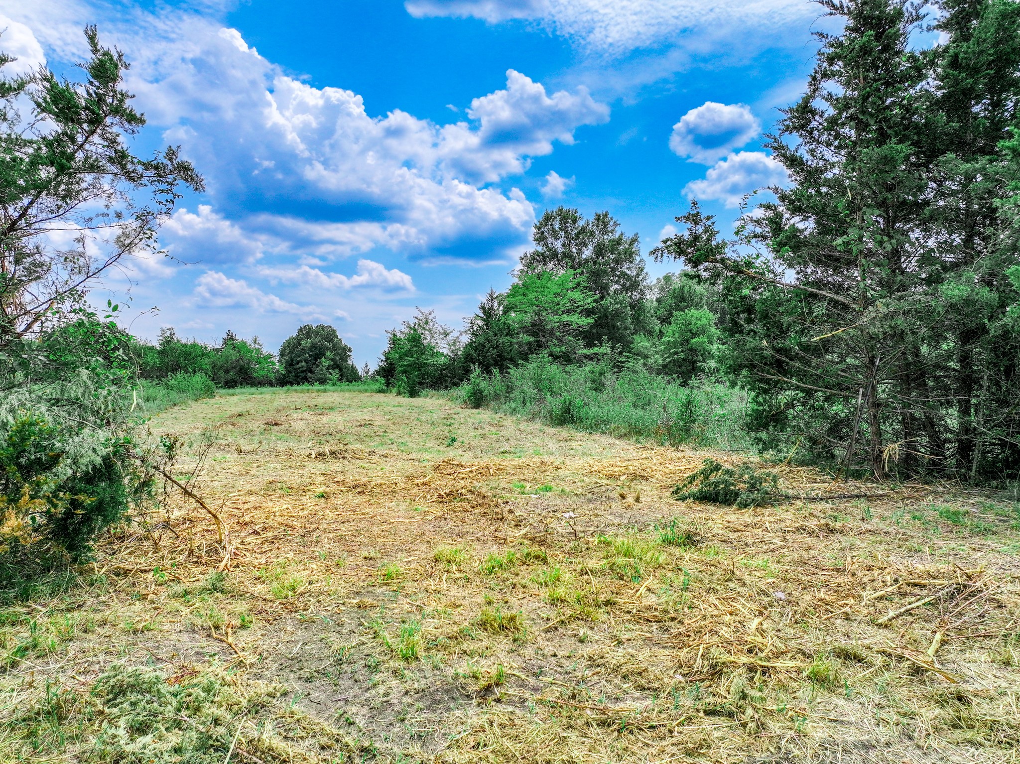 000 FM 71 Highway, Talco, TX, 75487