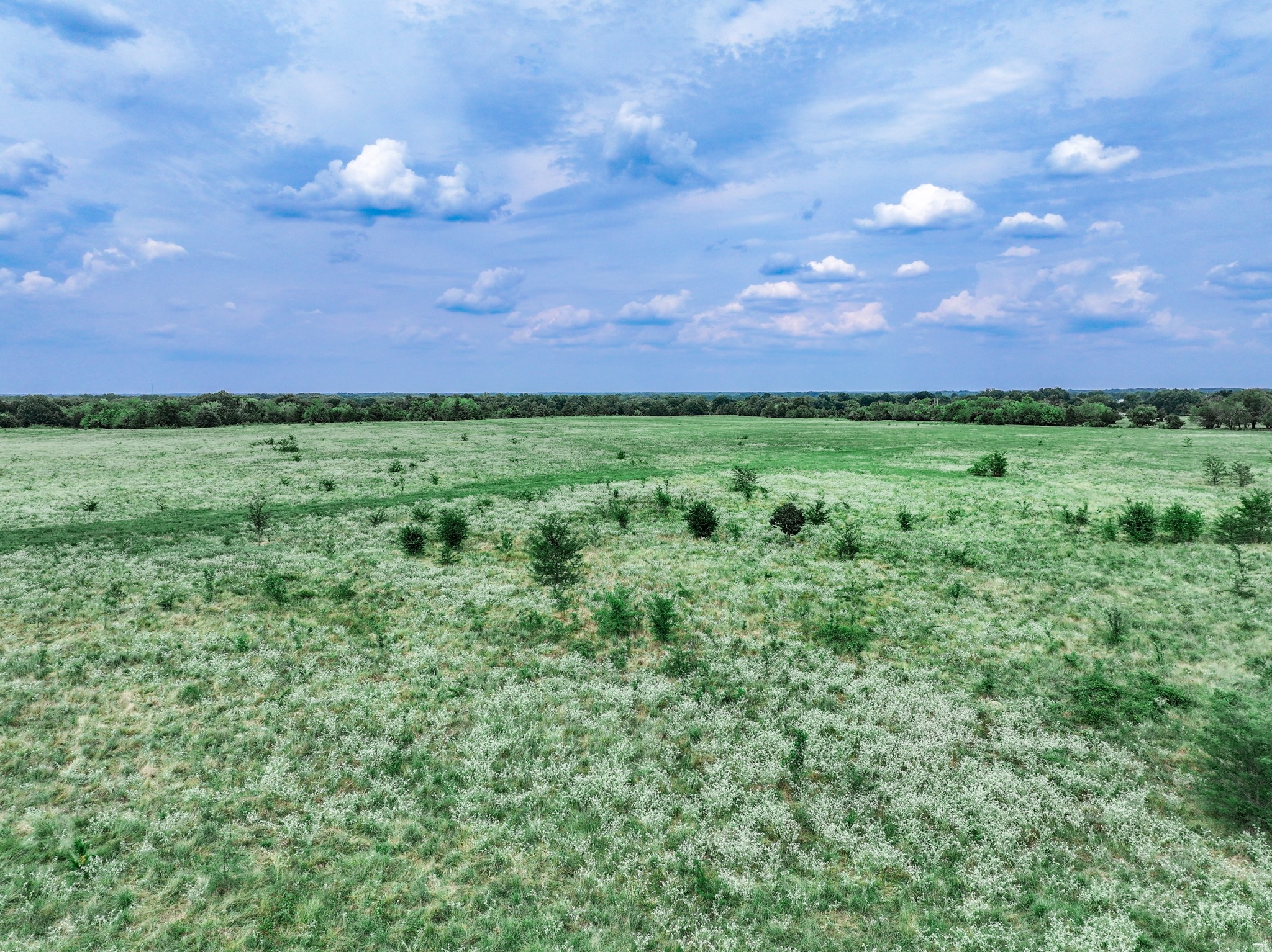 000 FM 71 Highway, Talco, TX, 75487