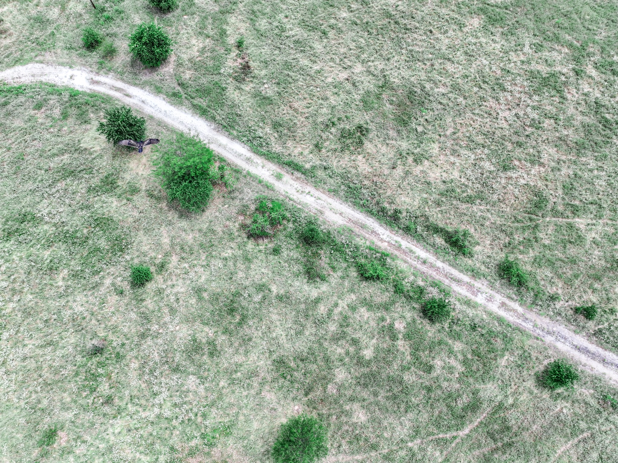 000 FM 71 Highway, Talco, TX, 75487