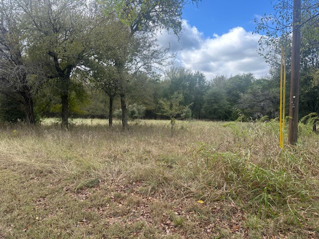 1545 White Bluff Drive, Whitney, TX, 76692
