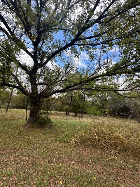 1545 White Bluff Drive, Whitney, TX, 76692