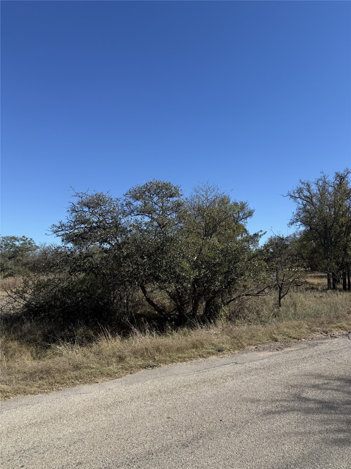 TBD Harbor Drive, May, TX, 76857