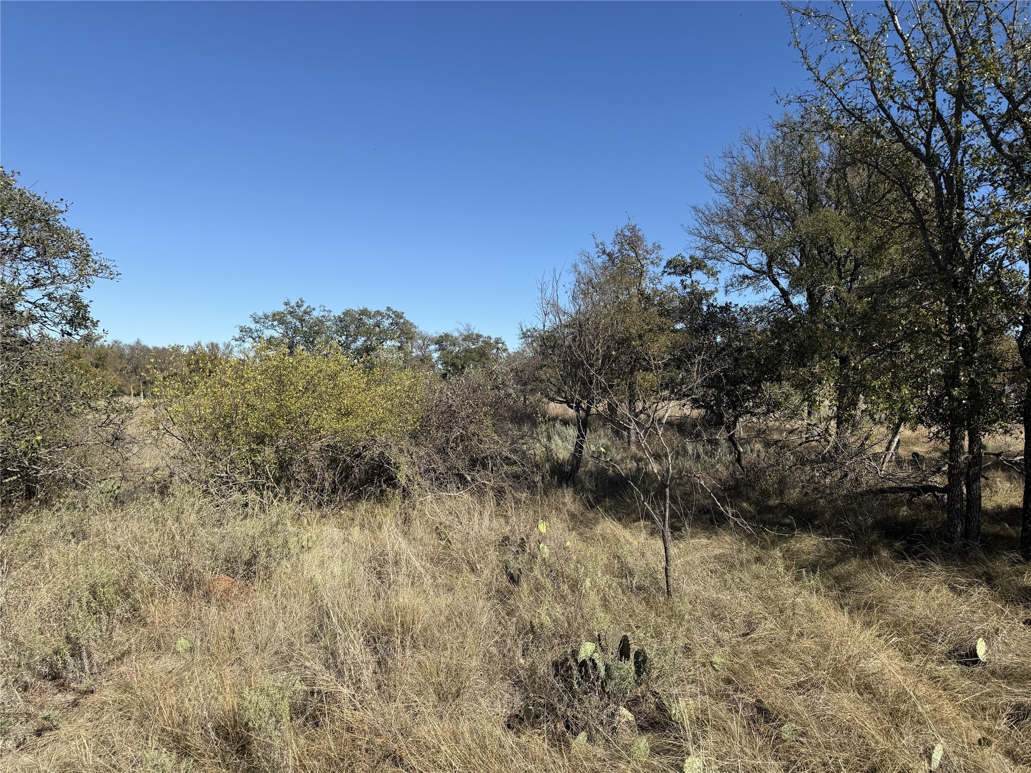 TBD Harbor Drive, May, TX, 76857