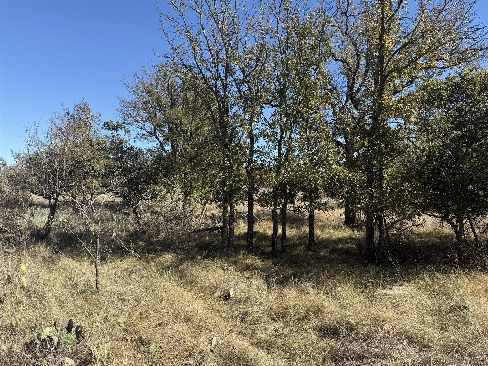 TBD Harbor Drive, May, TX, 76857