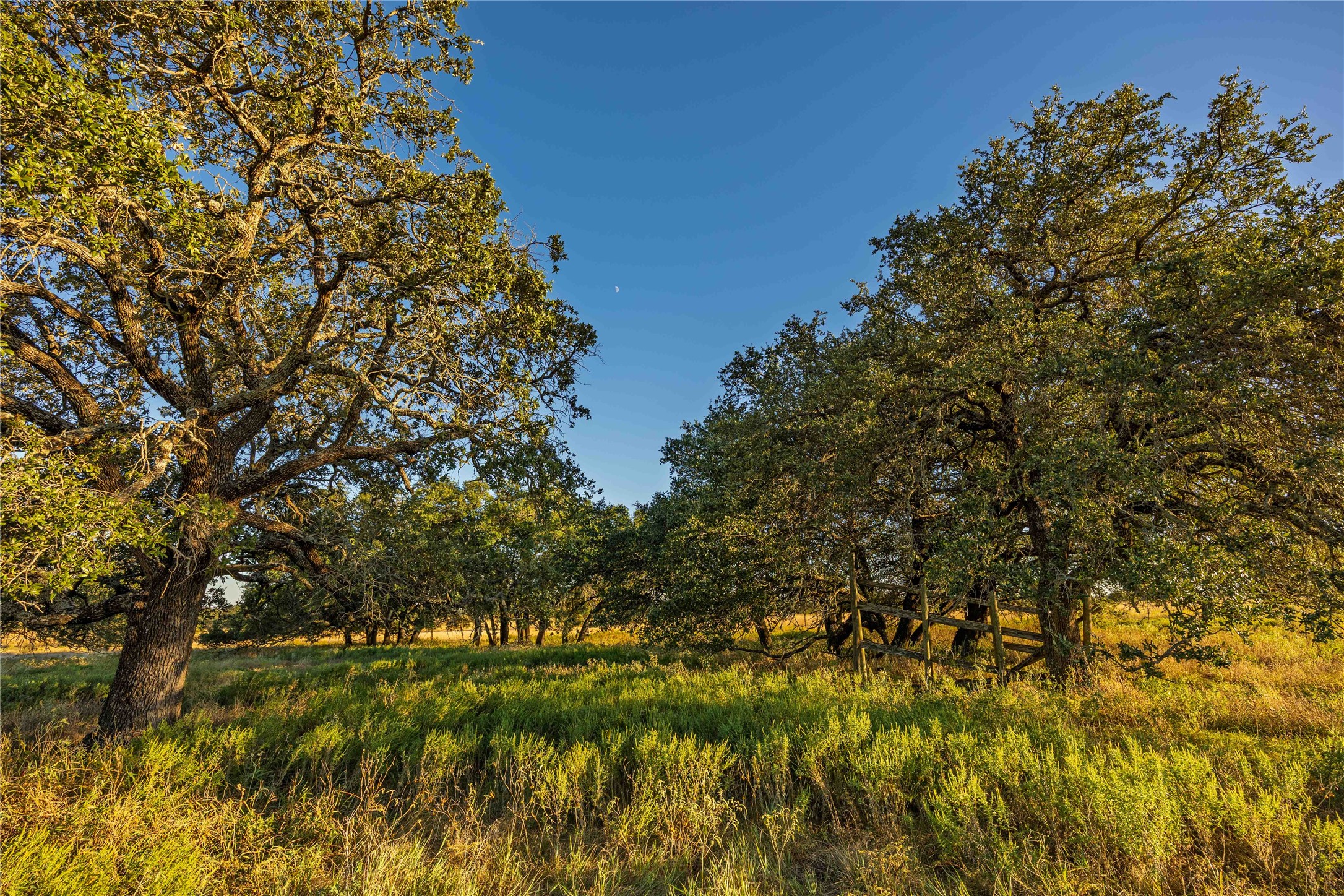 3270 Fm-573, Comanche, TX, 76442