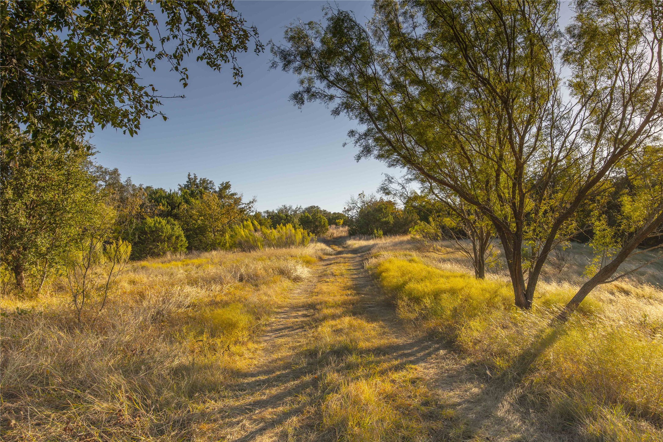 3270 Fm-573, Comanche, TX, 76442
