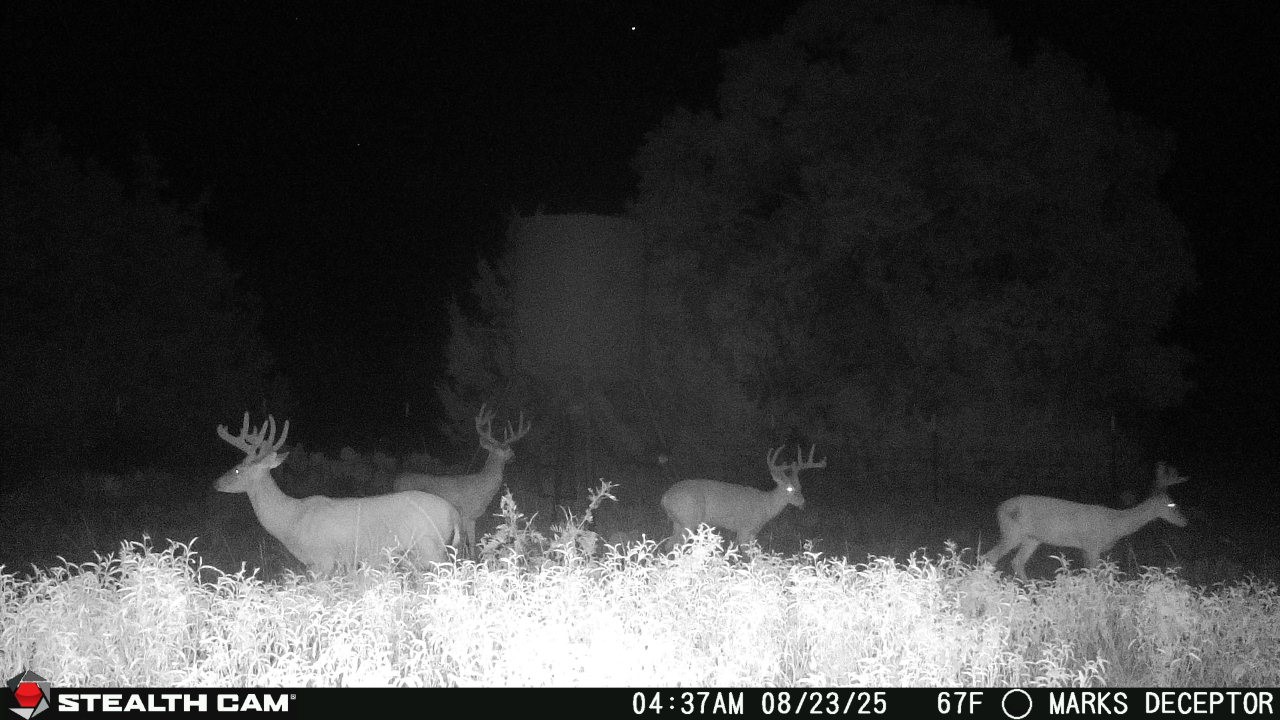 3270 Fm-573, Comanche, TX, 76442