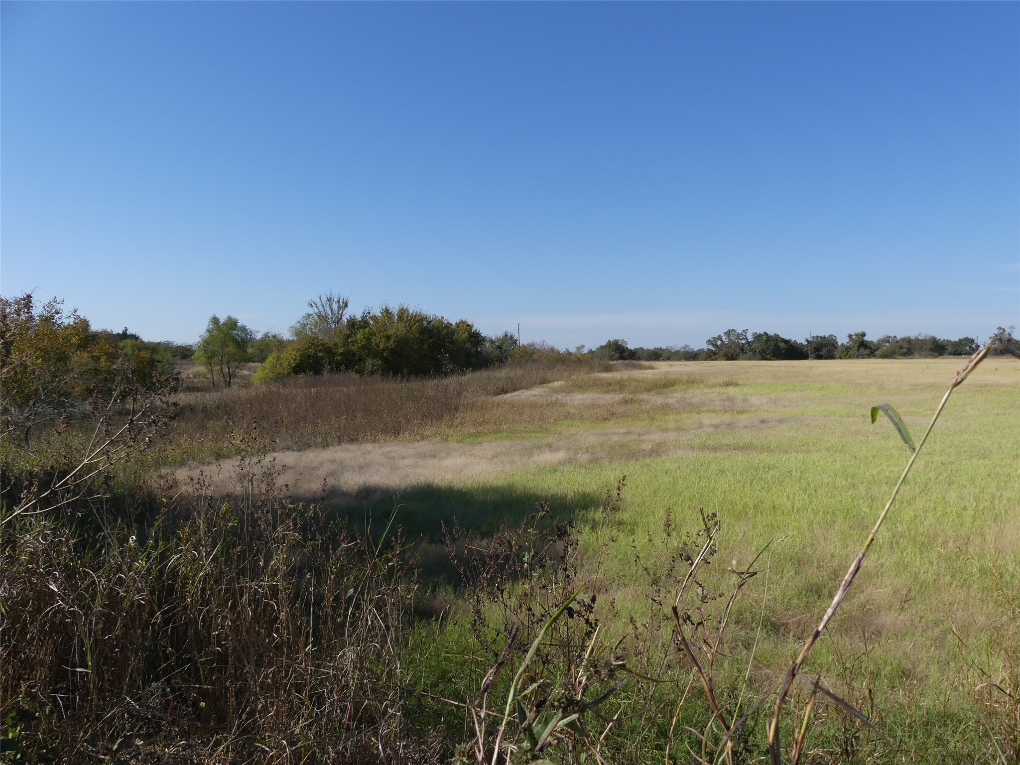 Property photo 02 of TBD FM 1749, Forestburg, TX 76239 | MLS #21105240