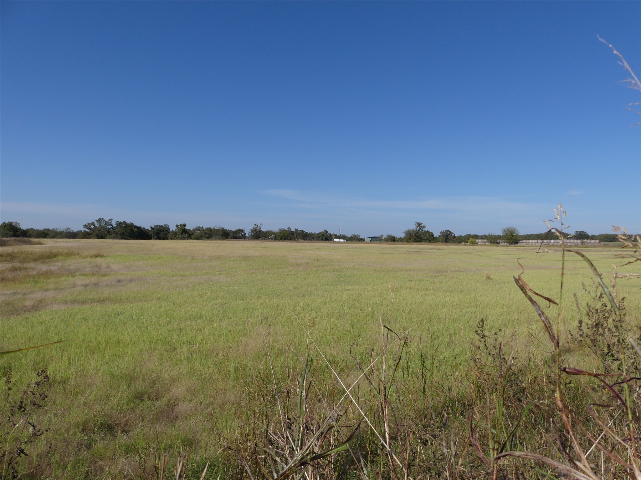 Property photo 04 of TBD FM 1749, Forestburg, TX 76239 | MLS #21105240