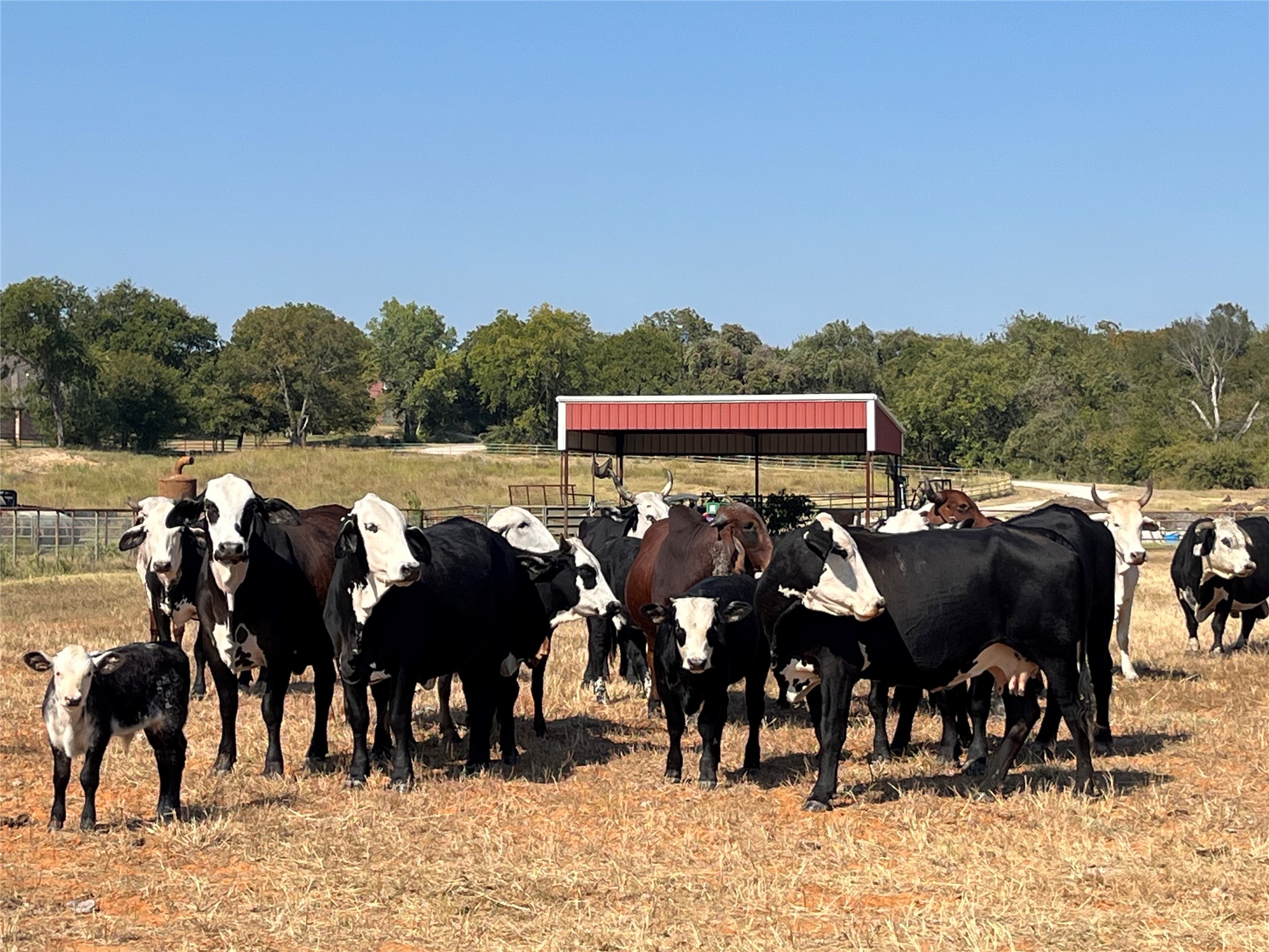 TBD UNIT&nbsp;16 out of 13345 Briar Road, Azle, TX, 76020