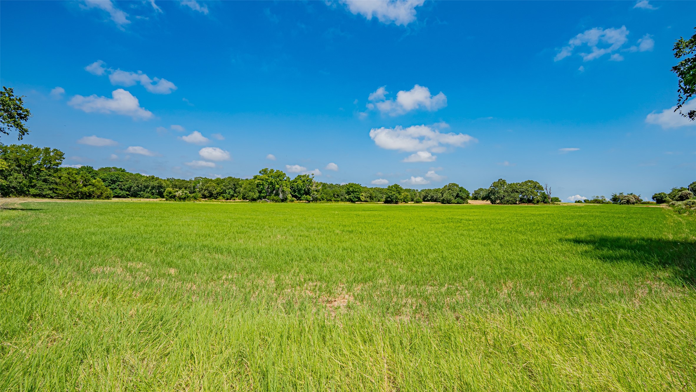 TBD UNIT&nbsp;16 out of 13345 Briar Road, Azle, TX, 76020