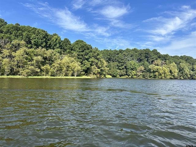 Lot 111 Oak River, Frankston, TX, 75763