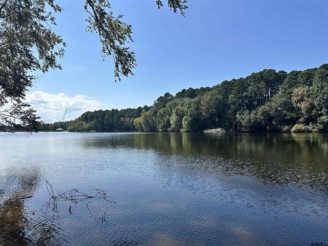 Lot 111 Oak River, Frankston, TX, 75763