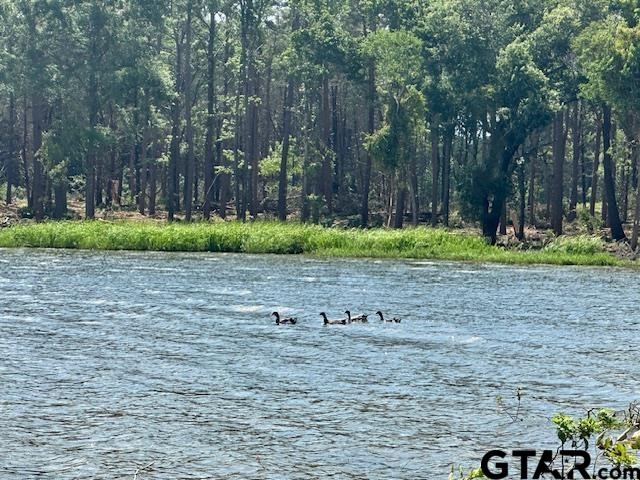 Lot 111 Oak River, Frankston, TX, 75763