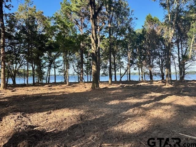 Lot 111 Oak River, Frankston, TX, 75763