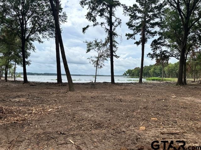 Lot 111 Oak River, Frankston, TX, 75763