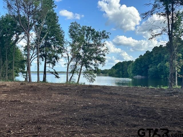 Lot 111 Oak River, Frankston, TX, 75763
