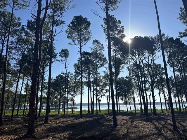 Lot 111 Oak River, Frankston, TX, 75763