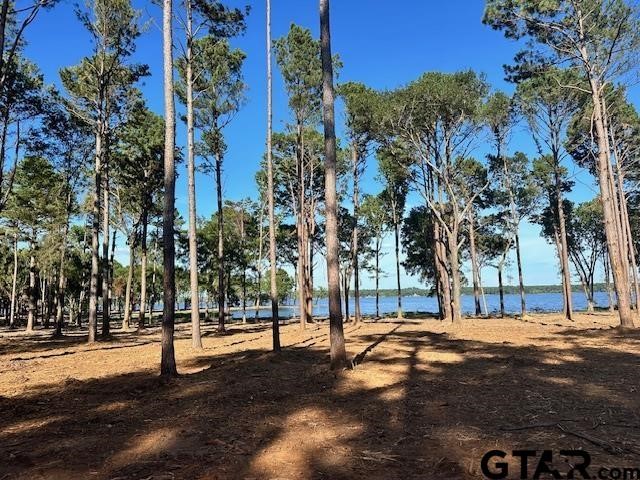 Lot 111 Oak River, Frankston, TX, 75763