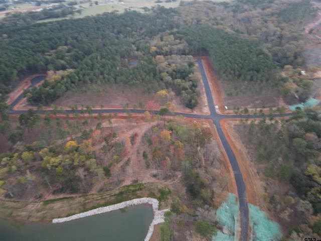 Lot 111 Oak River, Frankston, TX, 75763