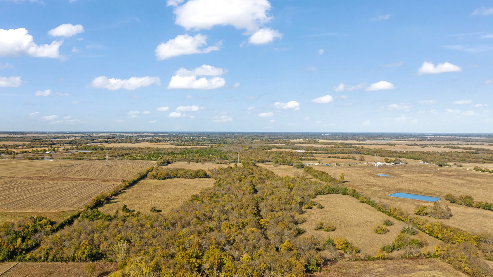 000 CR 36010, Honey Grove, TX, 75446