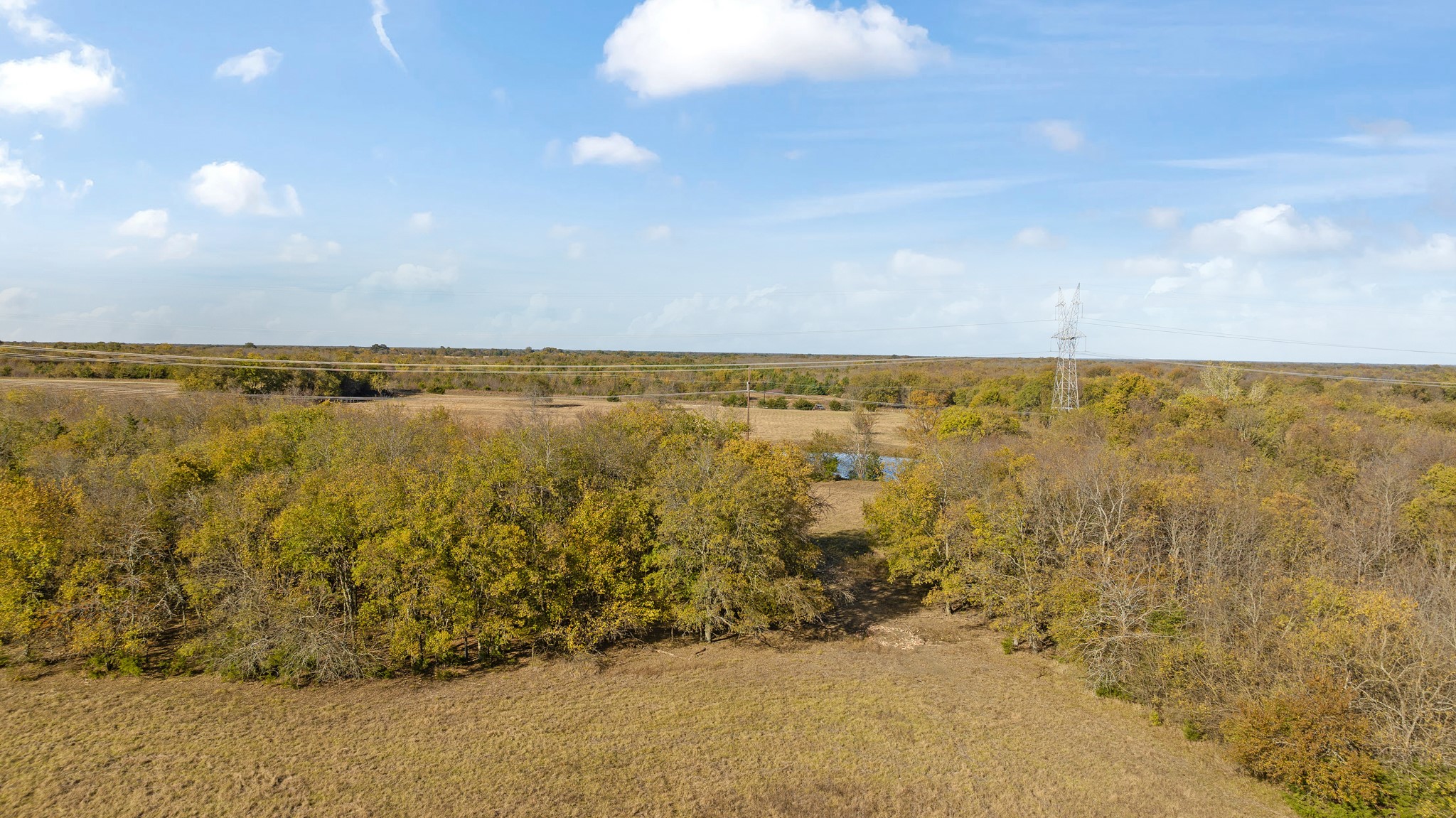 000 CR 36010, Honey Grove, TX, 75446
