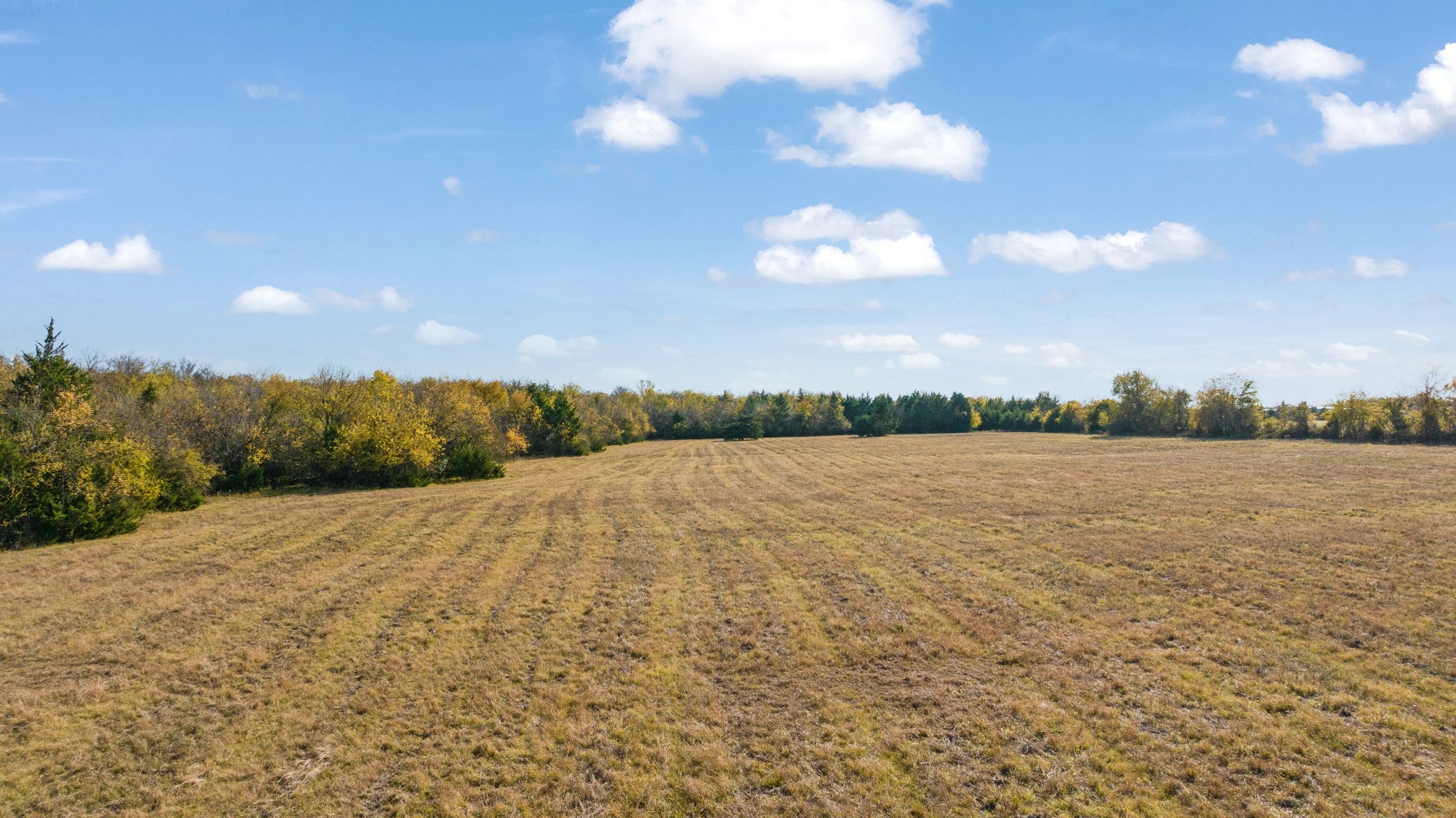 000 CR 36010, Honey Grove, TX, 75446