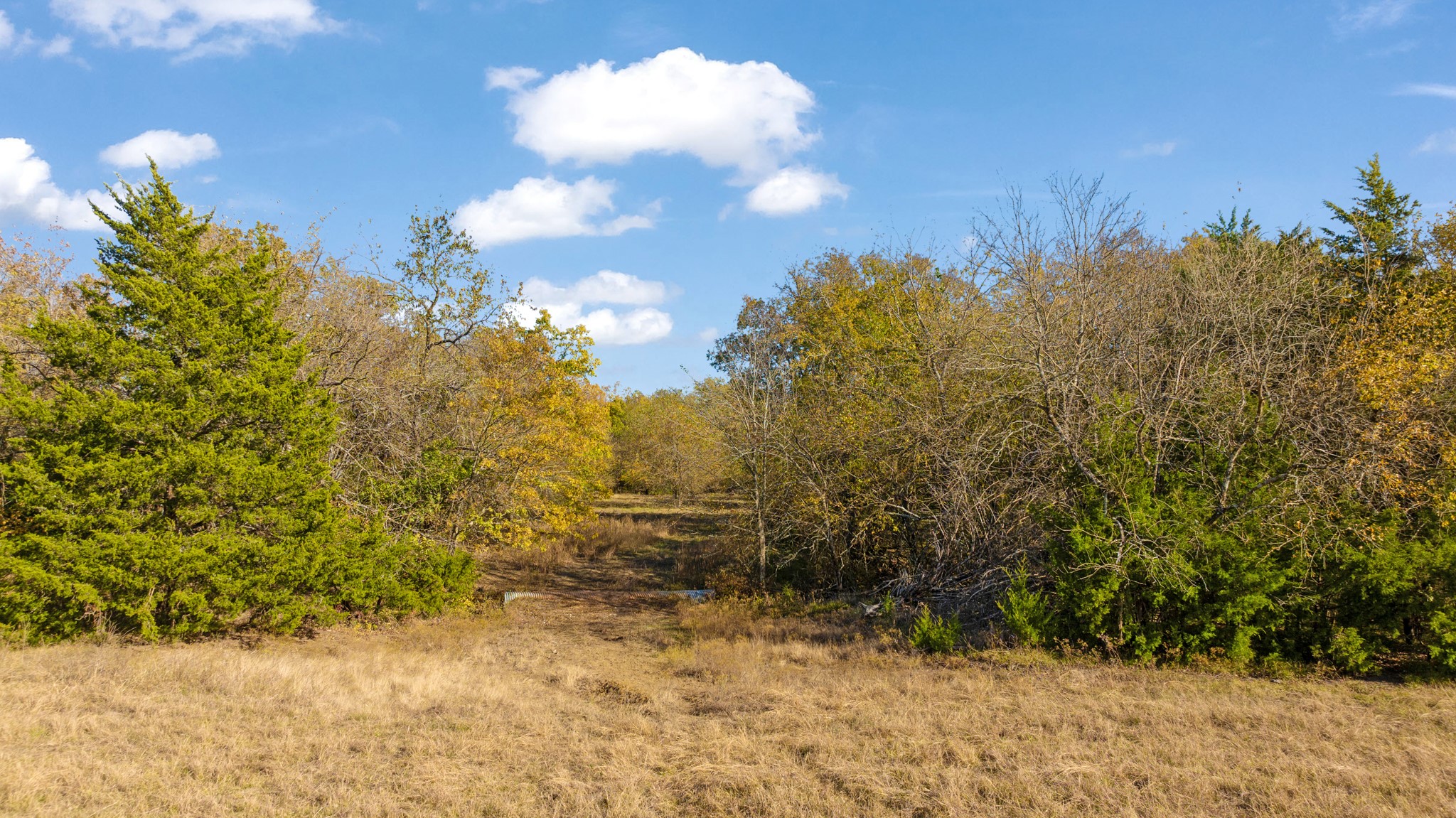 000 CR 36010, Honey Grove, TX, 75446