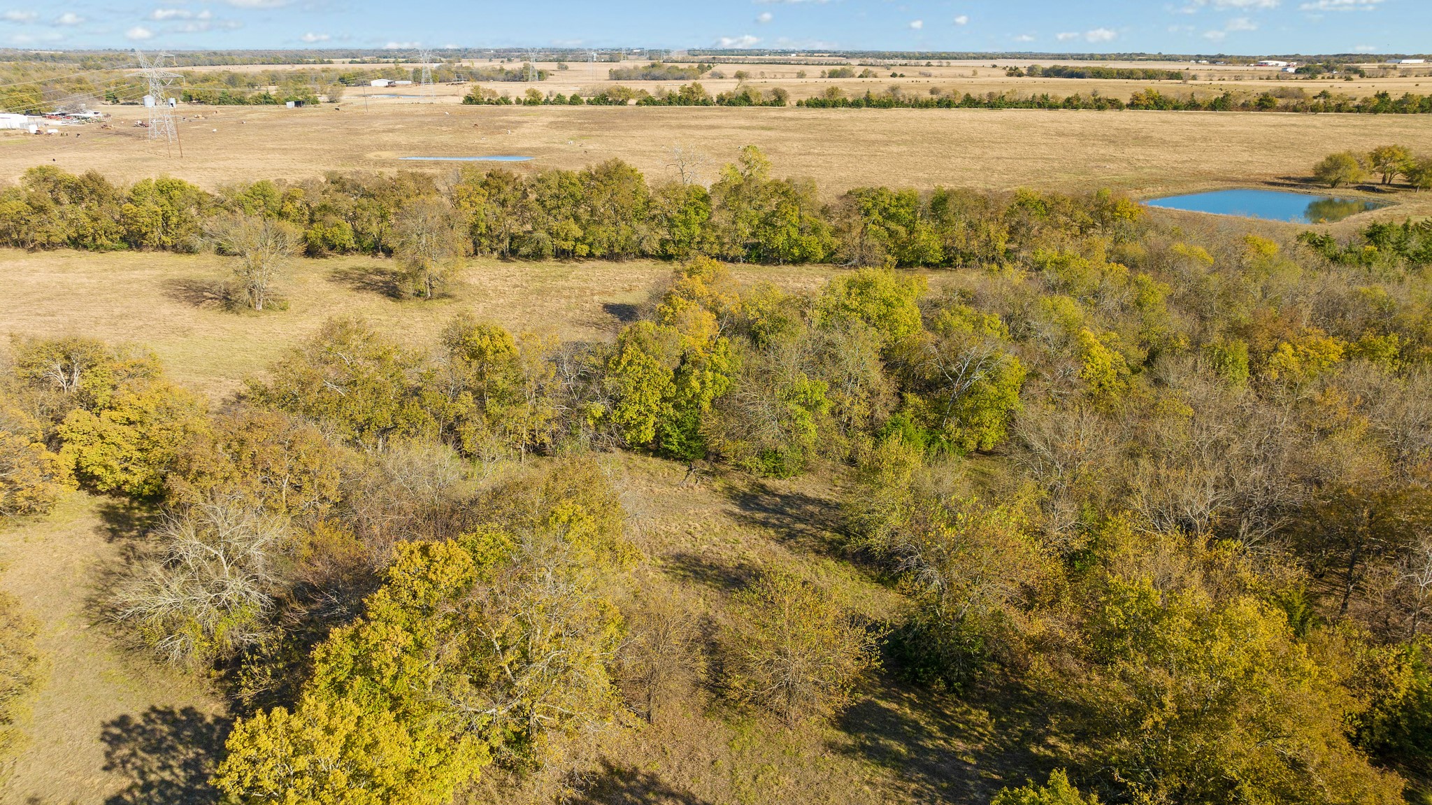 000 CR 36010, Honey Grove, TX, 75446