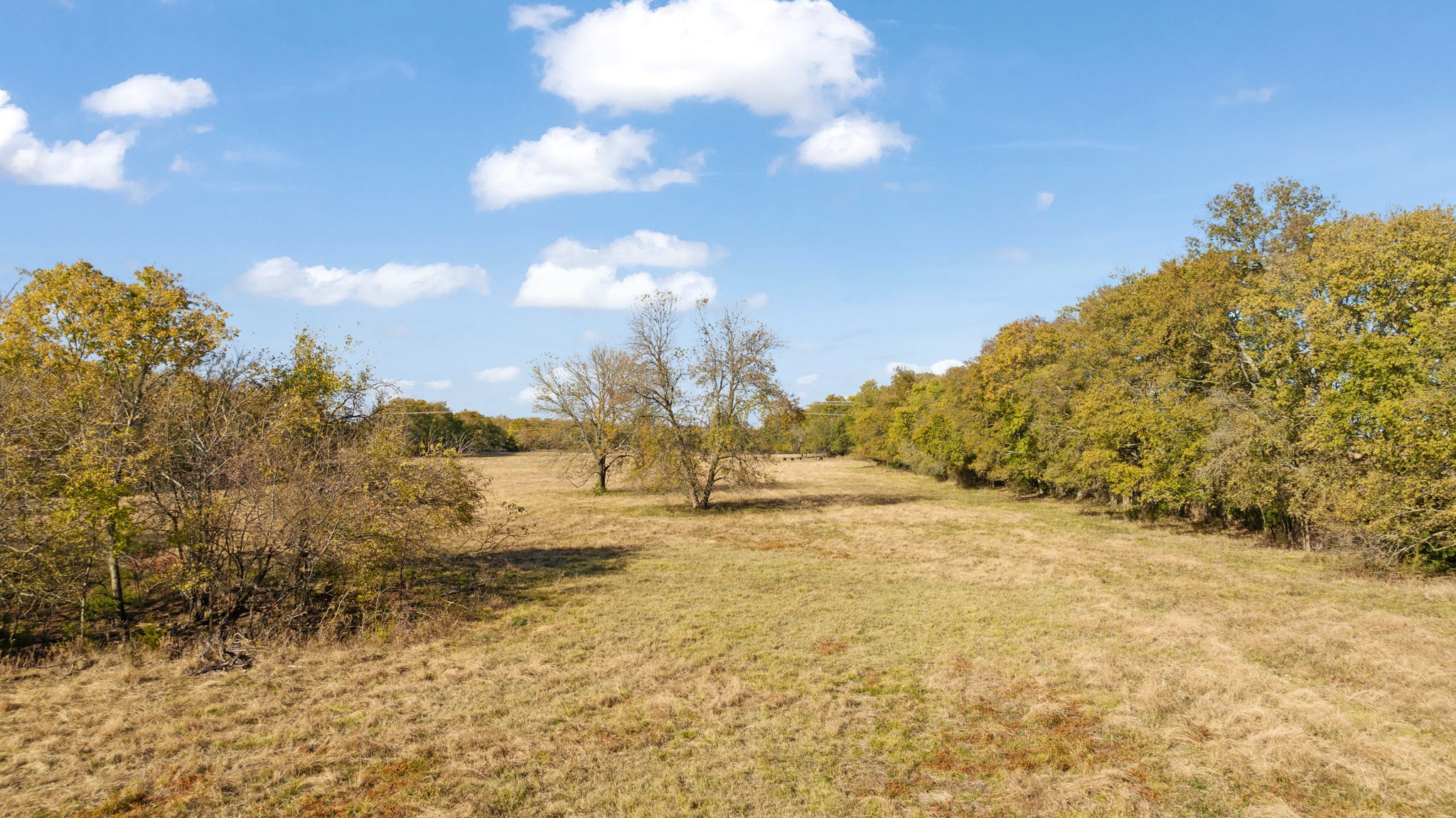 000 CR 36010, Honey Grove, TX, 75446