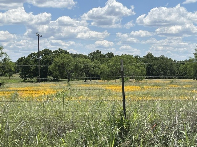 TBD CR 333, Blanket, TX, 76432