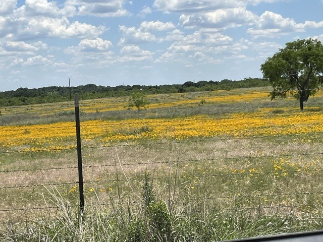 TBD CR 333, Blanket, TX, 76432