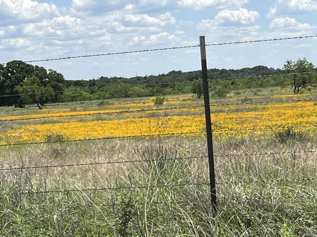 TBD CR 333, Blanket, TX, 76432