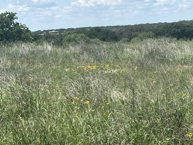 TBD CR 333, Blanket, TX, 76432