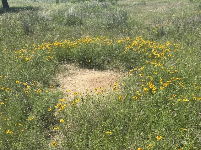 TBD CR 333, Blanket, TX, 76432