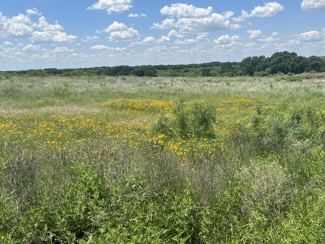 TBD CR 333, Blanket, TX, 76432