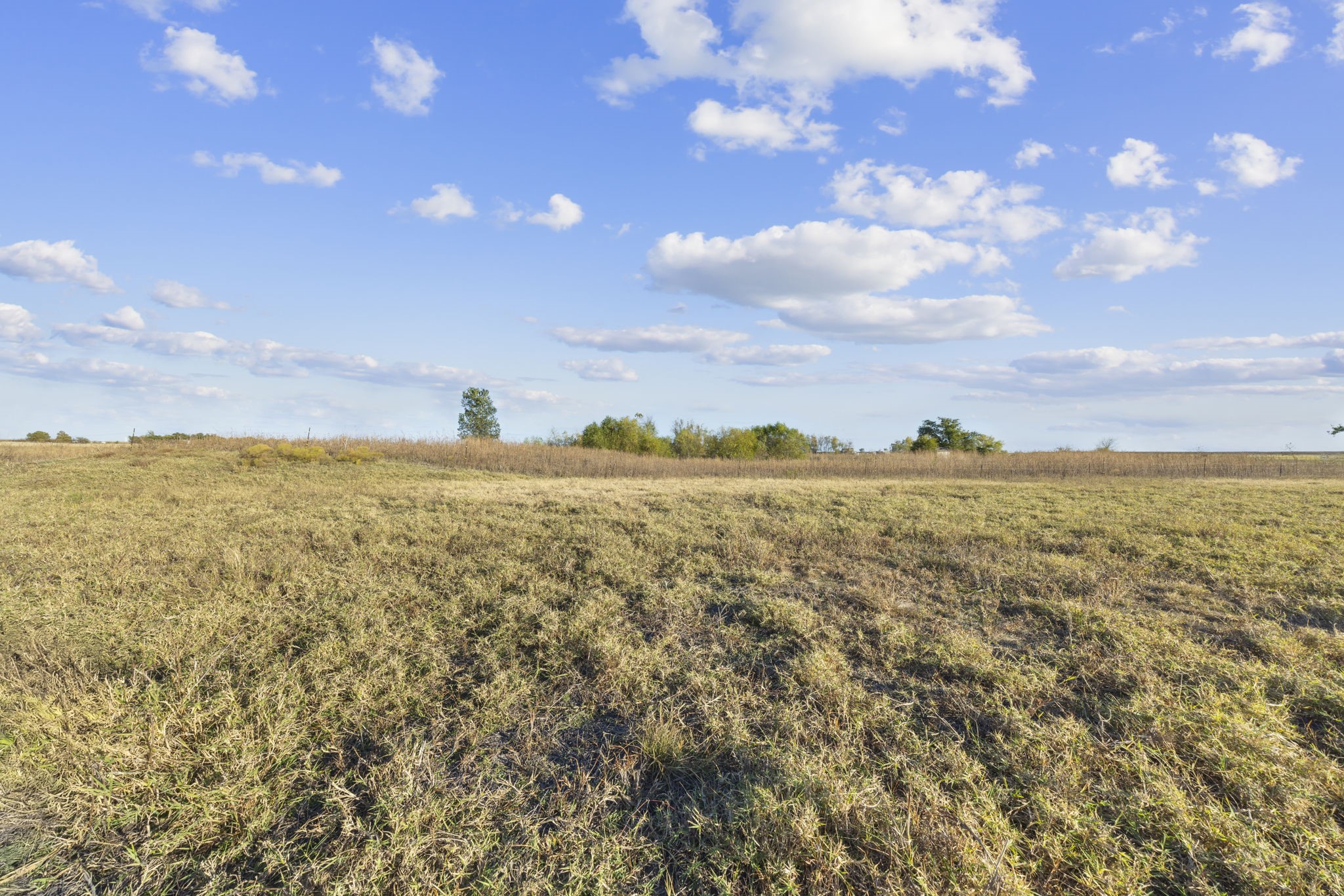 Property photo 02 of TBD Krause Road, Holland, TX 76534 | MLS #21113308