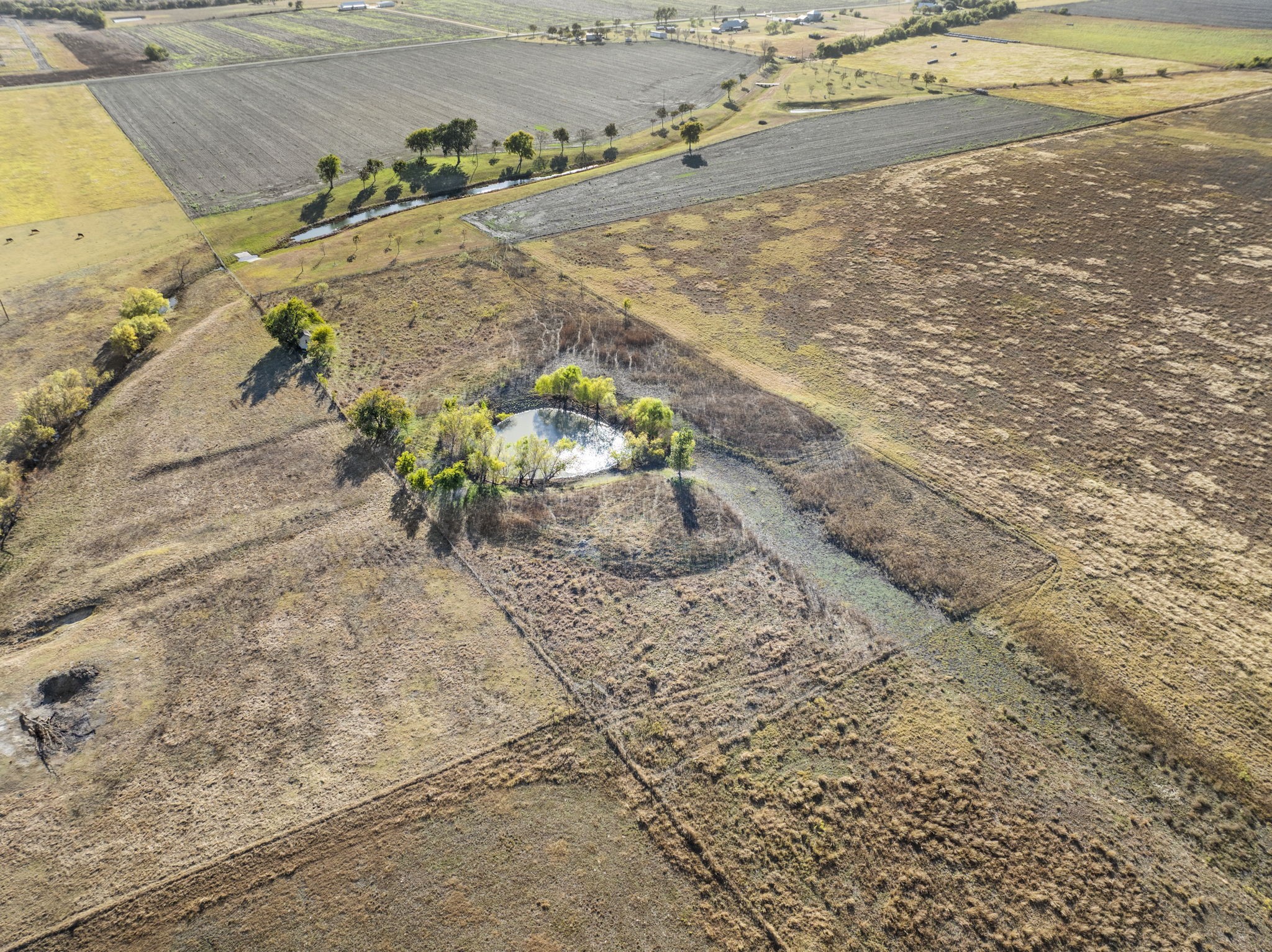 Property photo 04 of TBD Krause Road, Holland, TX 76534 | MLS #21113308