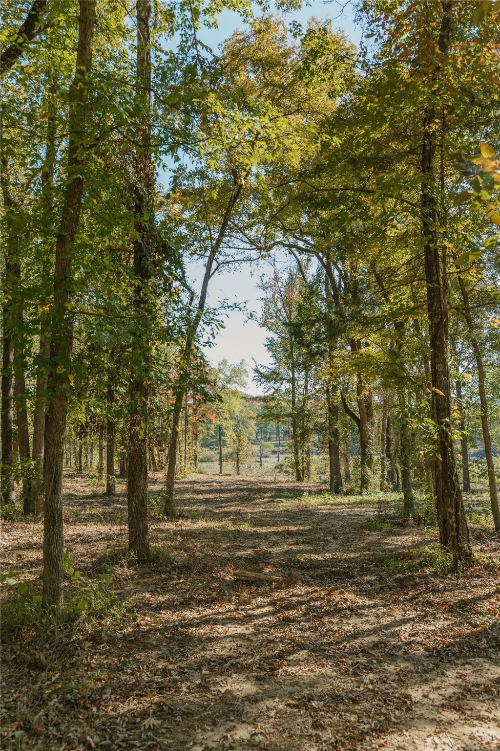 Lot 15 Private Road 5948, Yantis, TX, 75497