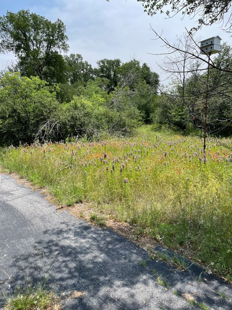 9349 Dickson Road, Fort Worth, TX, 76179