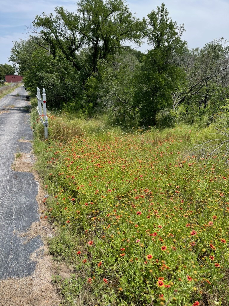 9349 Dickson Road, Fort Worth, TX, 76179